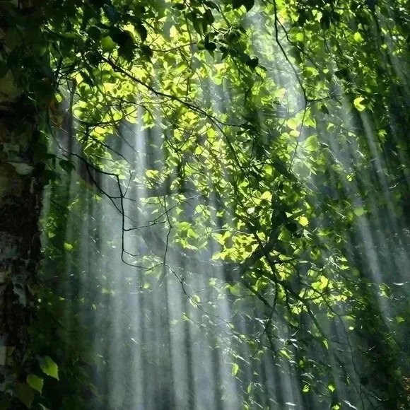 🆕Nashville Crop Top with Cut Out and Fringe - Picture 11 of 14